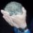 lyndin_ss